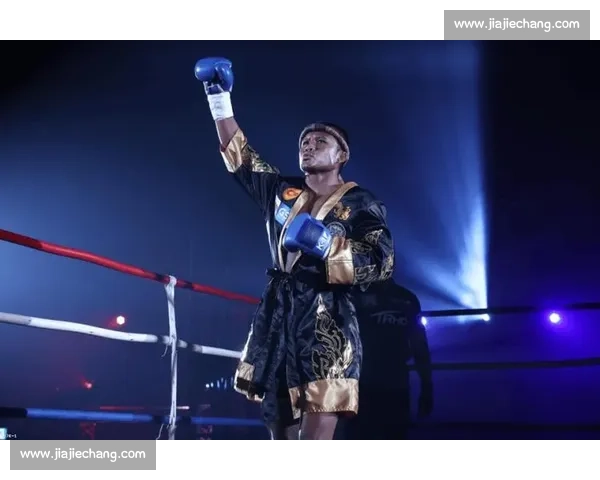 播求对决乔治巅峰泰拳与踢拳王者时代之战荣耀传奇终极较量风云